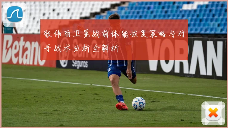 张伟丽卫冕战前体能恢复策略与对手战术分析全解析